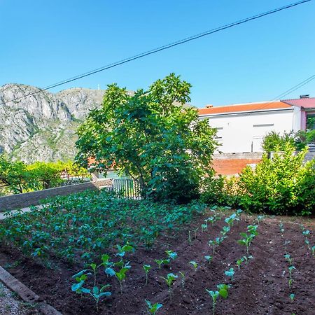 Apartments Fusion Mostar Ngoại thất bức ảnh